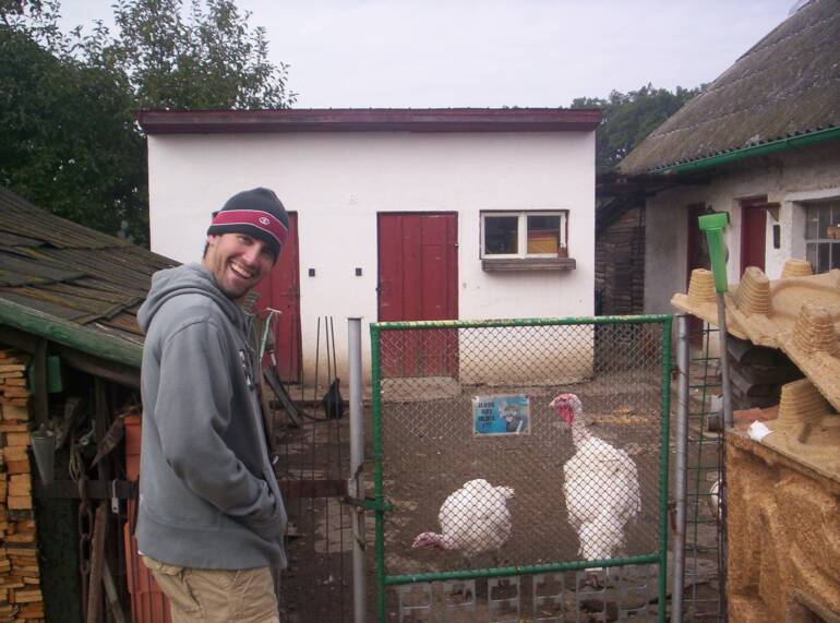 czech farm turkeys